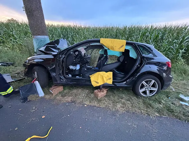 Der Wagen des 18-jährigen prallte frontal gegen einen Baum am Straßenrand | Foto: Feuerwehr Harsefeld