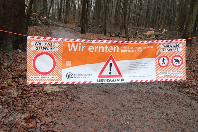 Wenn Waldbesucher diese Banner sehen, heißt es: "Stop!" | Foto: NLF