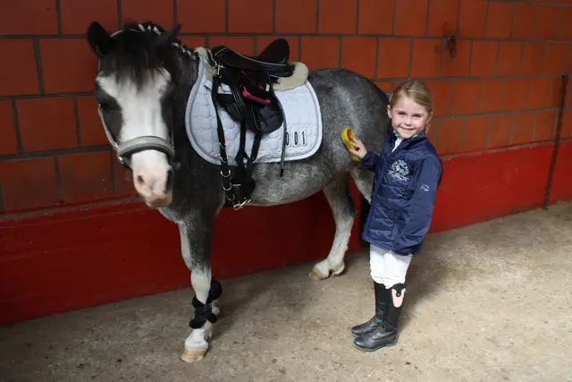 Mit viel Liebe pflegt Fe Böse ihr Pony "Toppy" | Foto: ce