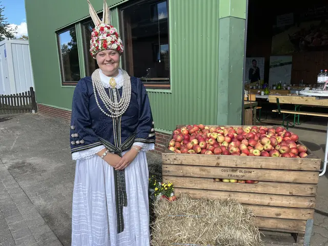 Blütenkönigin Ella Weilert beim Saisonauftakt der Apfelernte | Foto: Sandra Polenz