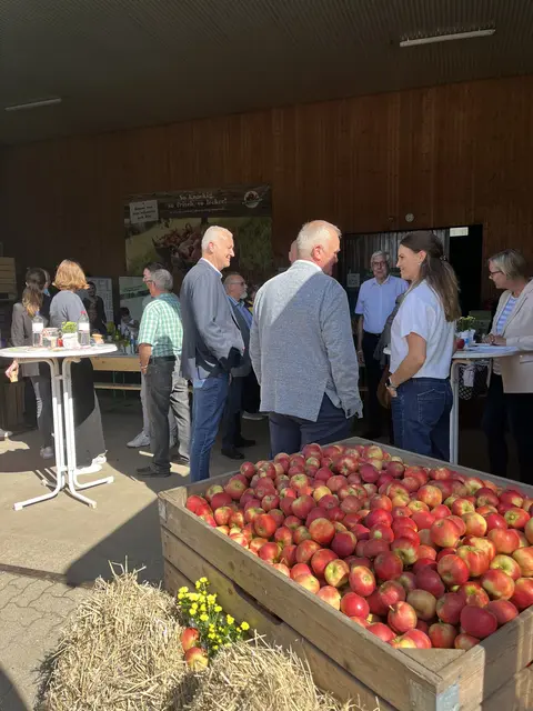 Äpfel satt bei der Saisonauftaktveranstaltung zur Apfelernte 2025 | Foto: Sandra Polenz