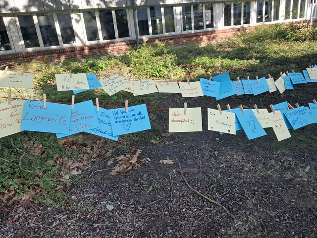 Wunschleine mit Botschaften für die Zukunft des Gymnasiums Winsen | Foto: Anika Werner