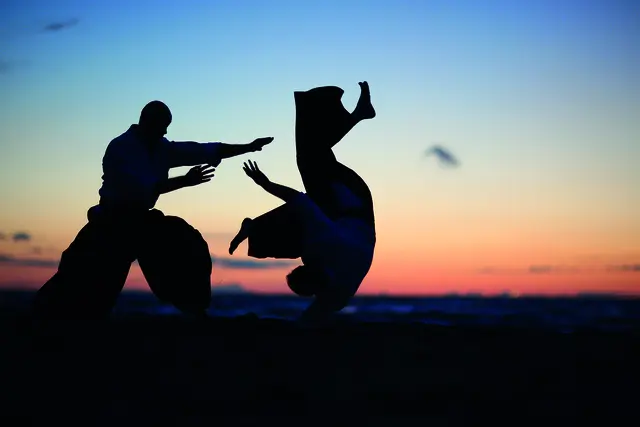 Symbolbild mit zwei Aikido-Kämpfern | Foto: adobestock@Anna Jurkovska