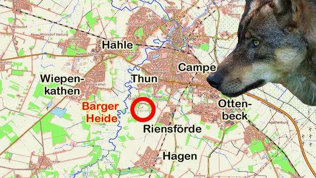 Die Wolfsattacke ereignete sich in der Barger Heide im Süden von Stade | Foto: OpenTopoMap/DJV-Rolfes/jd