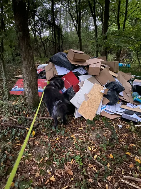 Ein Anwohner entdeckte am Morgen beim Spaziergang mit seinem Hund diesen Schutthaufen in Buchholz. | Foto: privat