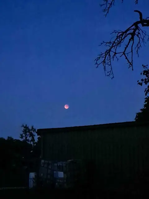 Der Blutmond über Tostedt  | Foto: Linus Lurz