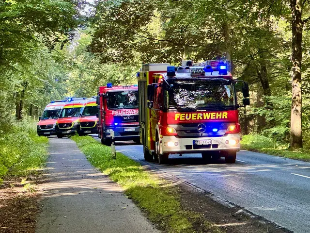 Auf der Straße zwischen Wiegersen und Sauensiek rückten zahlreiche Feuerwehrautos und Rettungswagen an | Foto: FFW SG Apensen