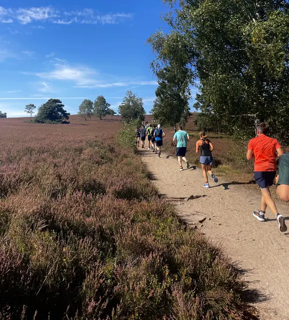2025 war ein Rekordjahr für den Brunsberglauf  | Foto: Brunsberglauf e.V.