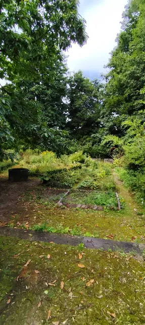 Es war einst ein Vorzeigeprojekt der damaligen Landesgartenschau: In den „Janpanischen Gärten“ (Luhegärten) wuchert das Unkraut ungehindert | Foto: thl