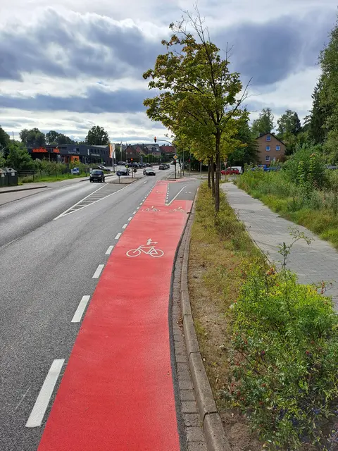Die auffällige Markierung des Radweges an der Kreuzung Bremer Straße/Steinbecker Mühlenweg | Foto: Sonja Hesse