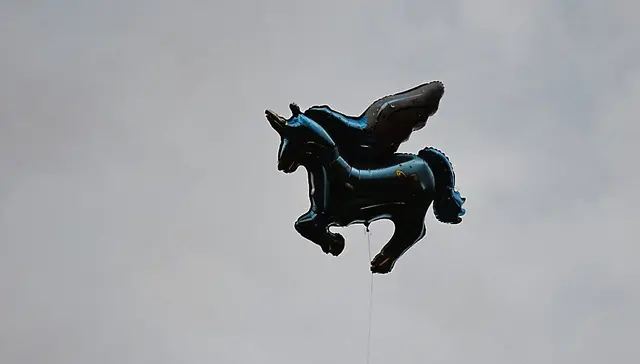 Dieser Motivluftballon verabschiedete sich in den Himmel - zur Trauer des jungen Besitzers ... | Foto: Axel-Holger Haase