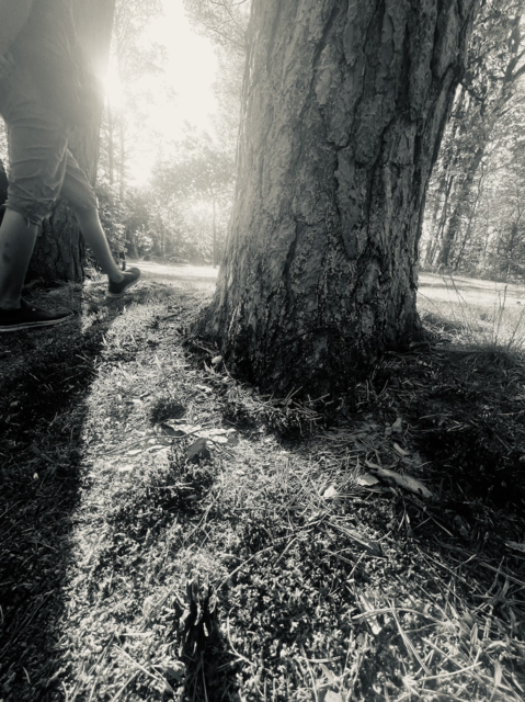 In der Natur Zeit zum Reden finden – innehalten, gemeinsam trauern | Foto: Tina Lüecke