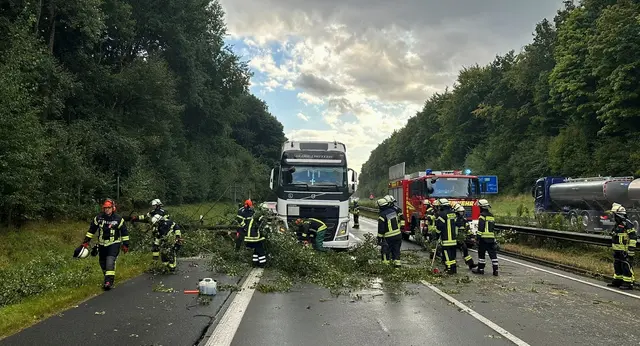 Die Einsatzkräfte zersägten den auf die Fahrbahn gestürzten Baum, um ihn zu entfernen | Foto: FF Leversen-Sieversen