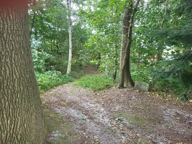 Weg aus der Schuttkuhle | Foto: Fähr- und Geschichtsverein Brobergen und Umgebung