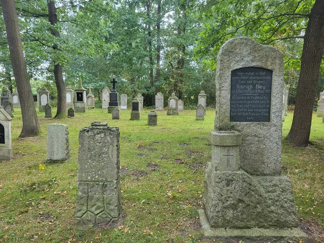 Auf einigen Steinen sind sogar die Innschriften erhalten | Foto: Fähr- und Geschichtsverein Brobergen und Umgebung