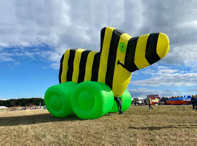 Sorgte für Staunen: eine riesige Tigerente  | Foto: Wolfgang Witte