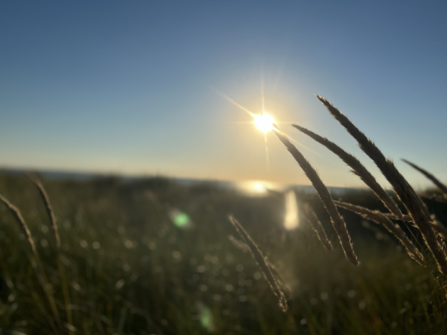 Erntedank – gemeinsam innehalten, danken, zusammen feiern | Foto: Tina Lüecke
