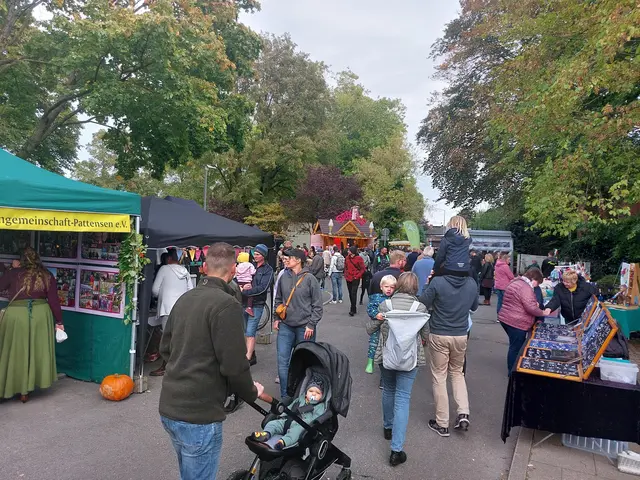 Buntes Treiben auf dem Herbstmarkt Pattensen | Foto: Lea Meyer