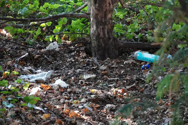 In den Büschen hinter den drei Bänken liegt ebenfalls Müll wie Flaschen und Papiertücher. Was auf dem Bild wie kleine weiße und blaue Tupfer wirkt, ist real extrem eklig | Foto: bim