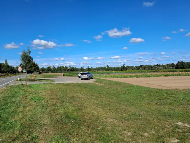 In Fachenfelde bei Ashausen ist ein 24,2 Hektar großes Gewerbegebiet vorgesehen | Foto: Anika Werner