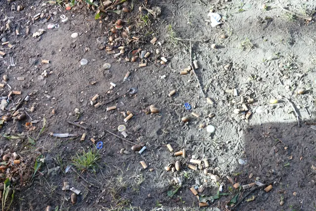 Jede Menge Kippen und Kronkorken liegen hinter den Bänken | Foto: bim