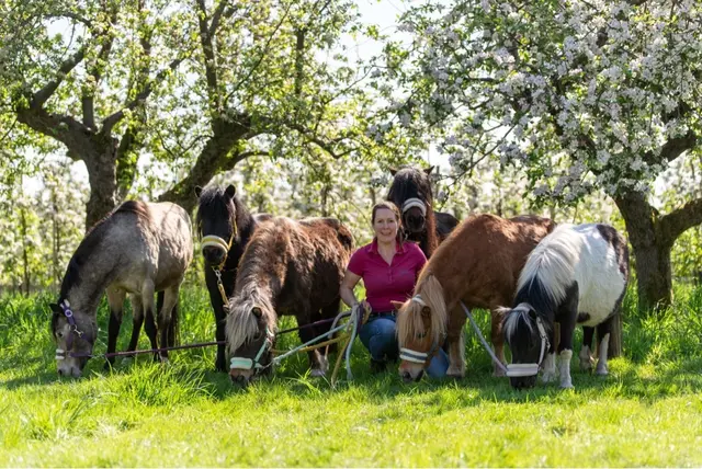 Die Ponymäuse sind wieder dabei: Bianca Moje kommt mit ihren Ponys | Foto: Bianca Moje