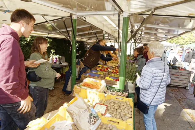 Typische Bauernmarkt: Hier und da darf genascht und probiert werden | Foto: Bauernmarkt Marschacht