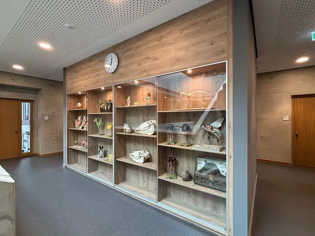 Das moderne Gebäude baut auf naturbelassene Farben und Akzente | Foto: pau