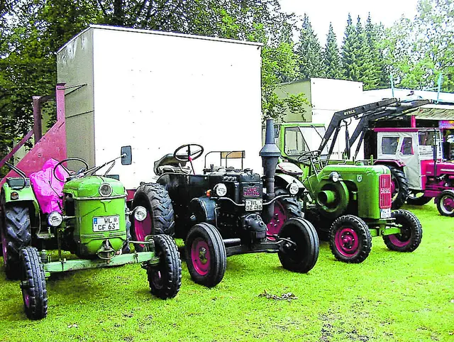 Die verschiedensten Modelle diverser Hersteller treffen sich auf dem Treckertreffen  | Foto: os