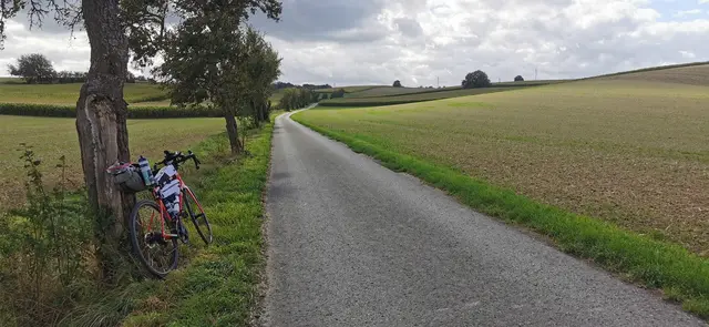 Größtenteils ging die Fahrt über Radwege | Foto: Immanuel Buchholz
