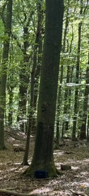 Die Lautsprecherbox stand neben einem Baum | Foto: Miesner