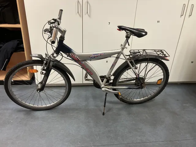 Das sichergestellte Fahrrad | Foto: Polizei