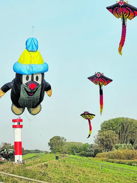 Drachen unterschiedlichster Couleur am Kehdinger Himmel | Foto: ig