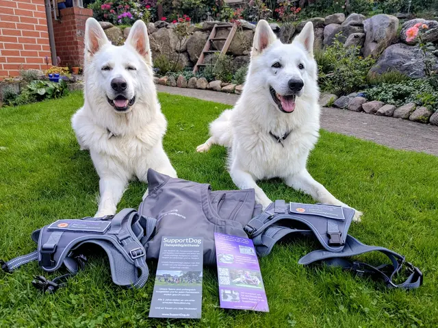 Herkules und Cerberus mit ihrer Therapie-Begleithund-"Uniform". Die beiden arbeiten ehrenamtlich in Rosengarten | Foto: Gabriele Staatz-Duckert