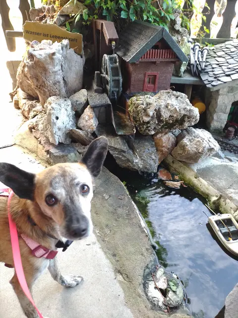 Elli im Erlebnis Park  | Foto: Virginia Keller