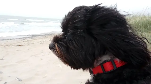 es stürmt an der Nordsee
 | Foto: Karin Liebschner