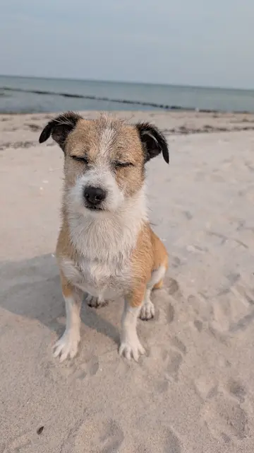 Maggie | Foto: Sandy Pfeffer 