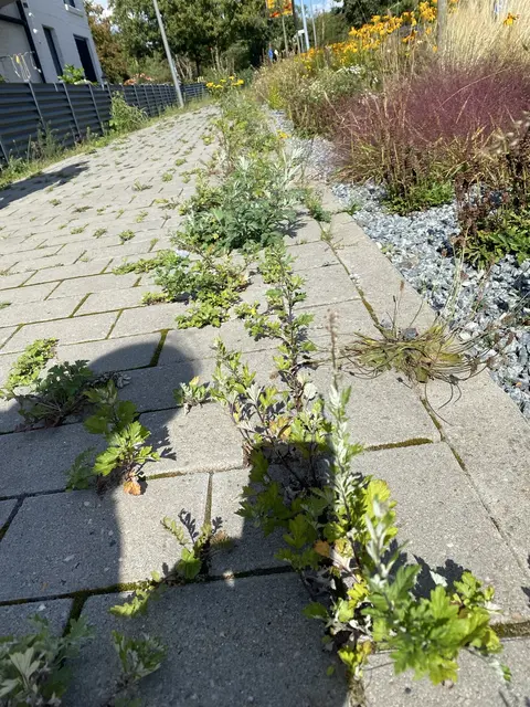 Foto: Marlies Herklotz