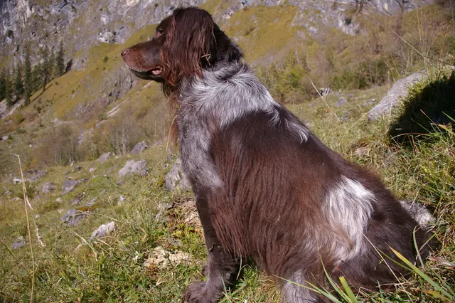 Foto: Wolfgang Schirn