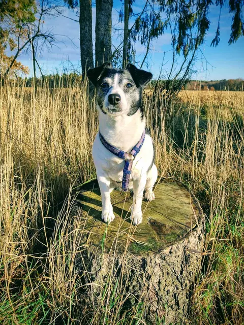 Jette 16 Jahre alt
 | Foto: cordes