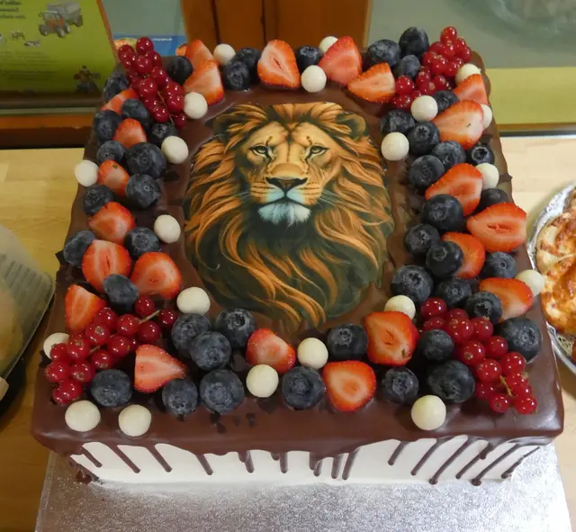 Auch kulinarisch ging es „löwenstark“ beim großen Jubiläumsfest zu.   | Foto: DRK-Kreisverband Harburg-Land e.V. 