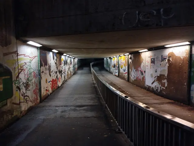 Die Unterführung am Winsener Bahnhof erstahl in neuem Licht. | Foto: Leon Strumberger