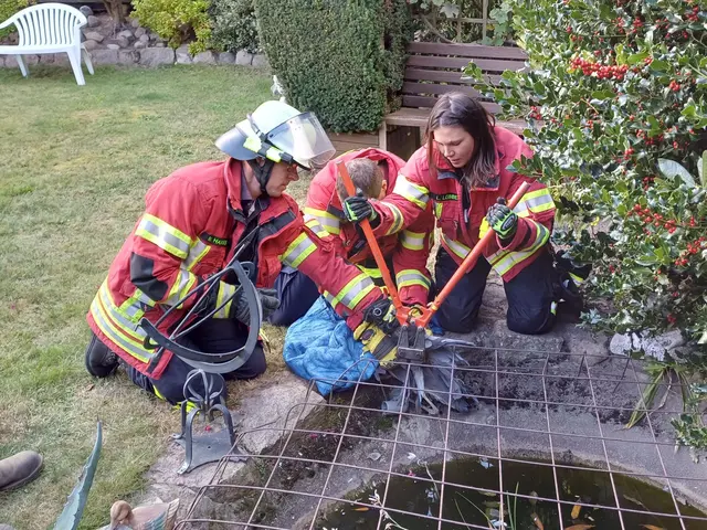 Mit einem Bolzenschneider befreien die Einsatzkräfte das verzweifelte Tier | Foto: Feuerwehren der Samtgemeinde Hanstedt