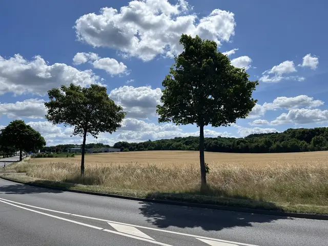 Die in der Planung vorgesehene Fläche in Maschen  | Foto: sra