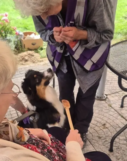 Australian Shepard Maybe in der Sonderpädagogik | Foto: Sabine Neumann-Heinen