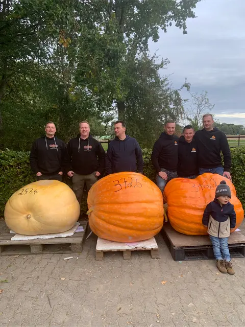 Die Gewinner (v. li.): Das Team „ Dicke Frucht ( von links Bild Steven von Holt und Basti Jarck ) mit seinem  „ 257,4 Kilogramm schweren Kürbis, Gewinner Björn Boroske mit 372 Kilogramm Kürbis und das Team Kartoffelbauern  ( von links Tobias von Holt , Michael Blohm, Maximilian Schulz und Heino von Holt) mit seinem 316,2 Kilogramm schweren Kürbis | Foto: Merle Boroske