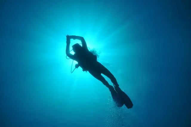 Foto: Adobe Stock/dieter76