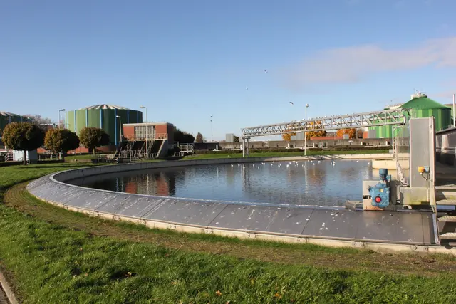 Foto: Stephan Voigt / Hansestadt Stade