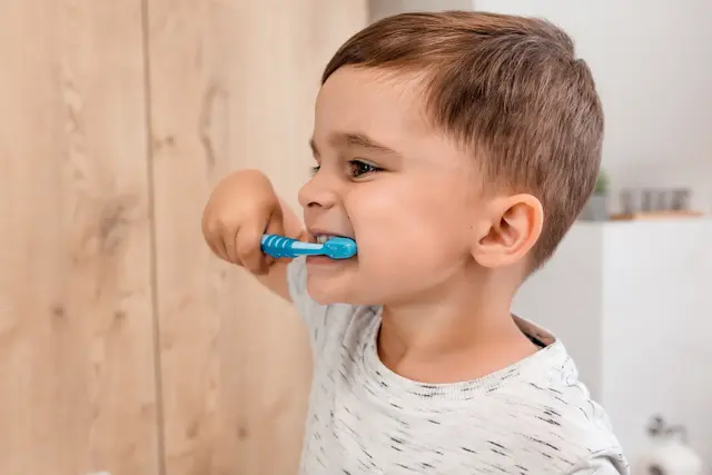 Zahnpflege will gelernt wein | Foto: AdobeStock / sergiophoto