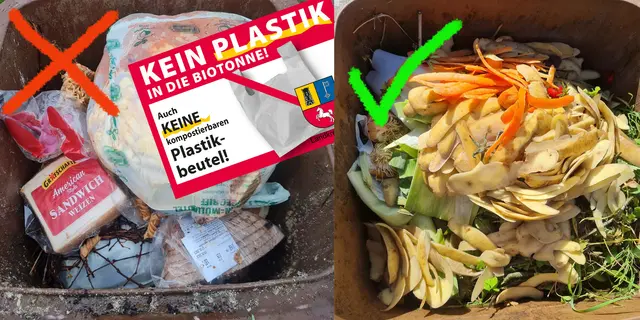 Was gehört in die Biotonne und was darf auf keinen Fall hinein? Absolut unzulässig sind (Um-)Verpackungen und Beutel aus Plastik (links). In der Tonne rechts wurden Küchenabfälle korrekt entsorgt | Foto: Landkreis Stade
